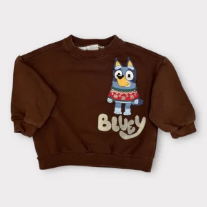 Zara -Pull - 3-4 ans (104cm)