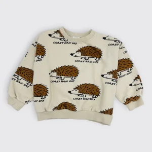 Zara - Pull - 4 - 5 ans